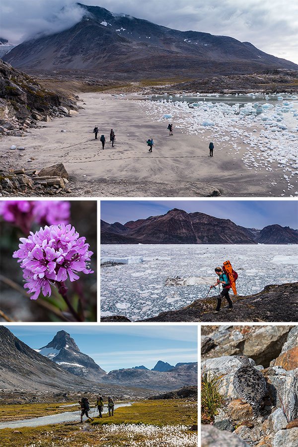 East Greenland Ski Touring, Mountaineering & Trekking Specialists