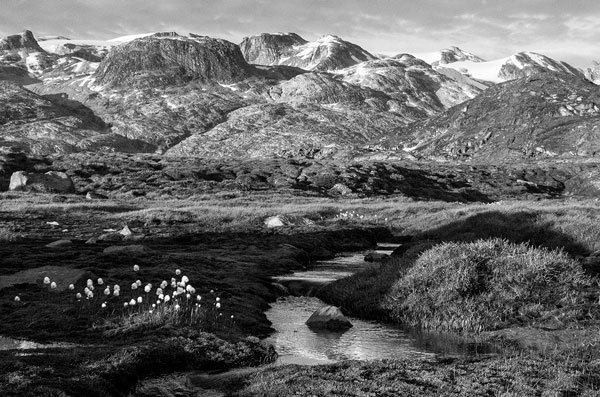 East Greenland Ski Touring, Mountaineering & Trekking Specialists